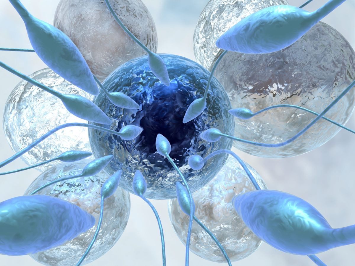 Μπορούμε να «παγώσουμε» τον εγκέφαλο χωρίς να τον καταστρέψουμε;