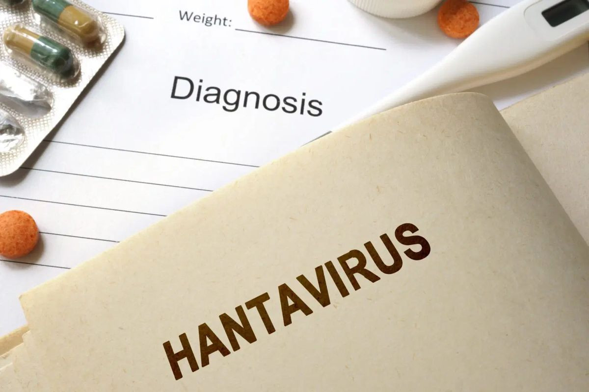Τι είναι ο ιός Hantavirus: Τα επιστημονικά δεδομένα μετά τα κρούσματα στο κρουαζιερόπλοιο MV Hondius