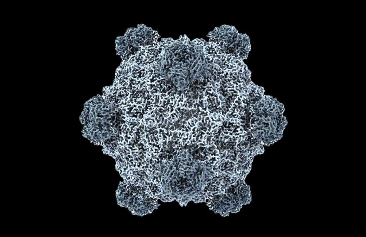 https://techgear.cachefly.net/portal-img/art_featured_webp/35/synthetic-ai-virus.jpg