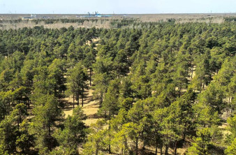 Η Κίνα φυτεύει θάμνους στην έρημο και ενεργοποιεί μια τεράστια υπόγεια «παγίδα» άνθρακα