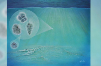 Πόσο γρήγορα ανέκαμψε η Γη μετά τους δεινόσαυρους; Η νέα έρευνα που εκπλήσσει