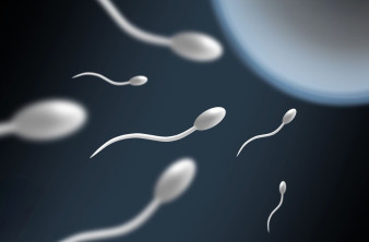 Αναπαραγωγή στο Διάστημα: Πώς η απουσία βαρύτητας αποπροσανατολίζει τα σπερματοζωάρια