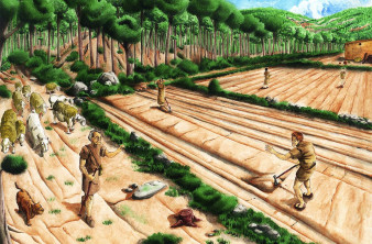 Πώς η γεωργία επιτάχυνε την ανθρώπινη εξέλιξη τα τελευταία 10.000 χρόνια: Τα γενετικά δεδομένα