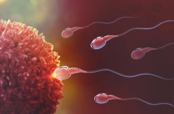 Ανδρική αντισύλληψη: Ανέπτυξαν μη ορμονικό χάπι αναστρέψιμης δράσης