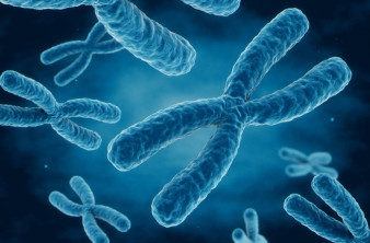 Νέα τεχνική του Harvard ανοίγει τον δρόμο για γονιδιακή θεραπεία του Συνδρόμου Down!