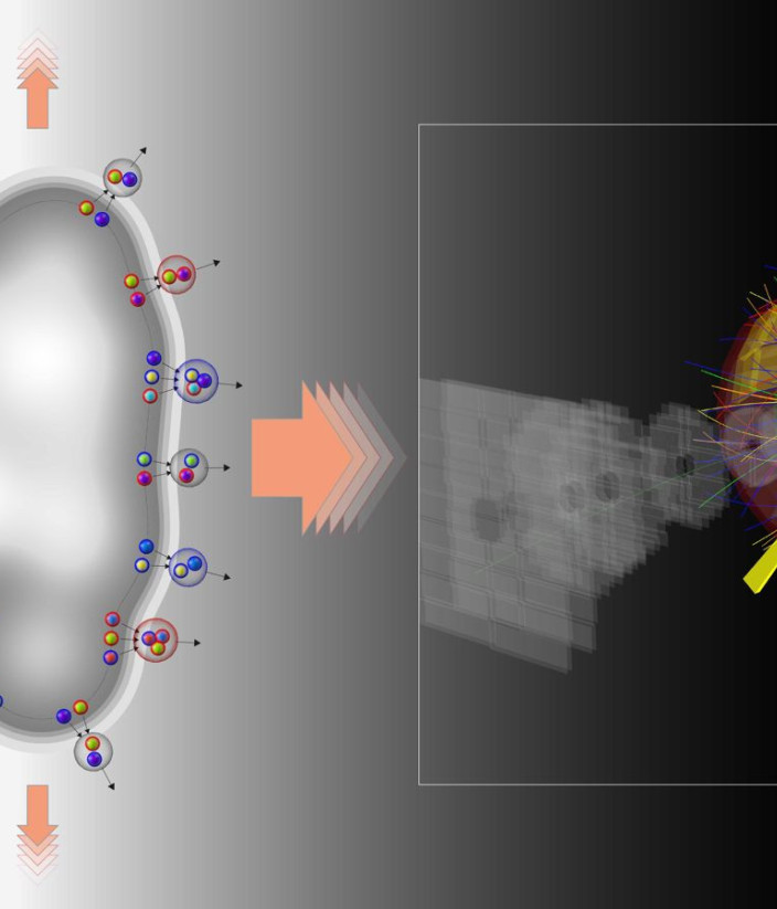 Νέα δεδομένα για το Big Bang από τον Μεγάλο Επιταχυντή Αδρονίων (LHC) στο CERN!