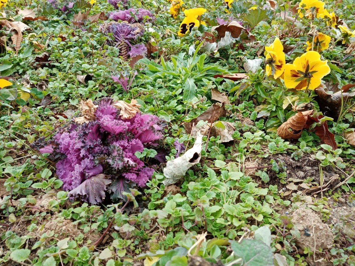 Huawei Y6s: Το όμορφο entry-level με εφαρμογές Google | 