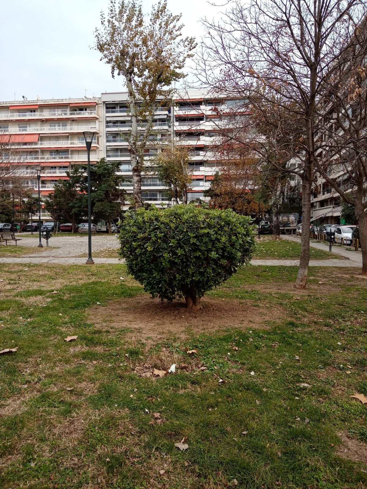 Huawei Y6s: Το όμορφο entry-level με εφαρμογές Google | 