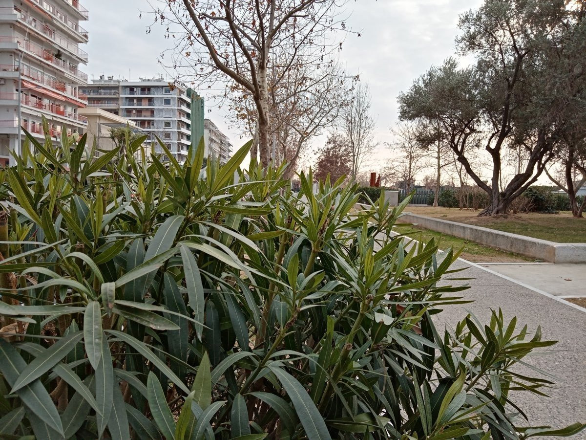 Huawei Y6s: Το όμορφο entry-level με εφαρμογές Google | 