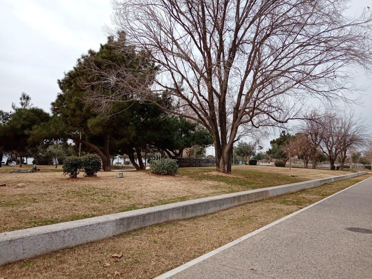 Huawei Y6s: Το όμορφο entry-level με εφαρμογές Google | 