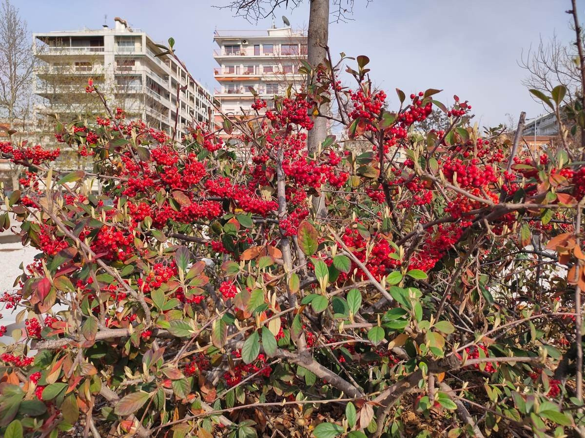 Realme X2 Pro: Μια value-for-money ναυαρχίδα που δεν είναι καθόλου αδιάφορη | 