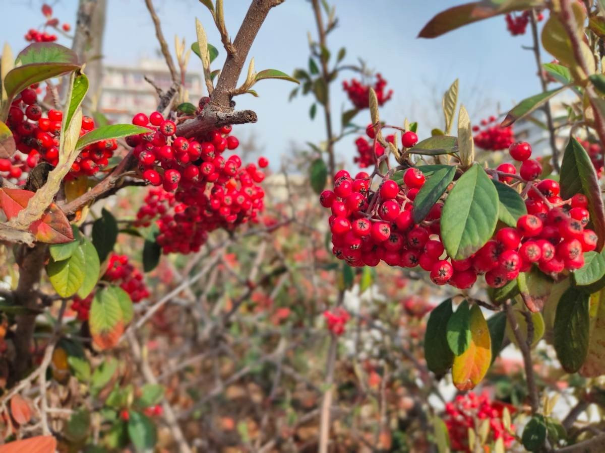 Realme X2 Pro: Μια value-for-money ναυαρχίδα που δεν είναι καθόλου αδιάφορη | 