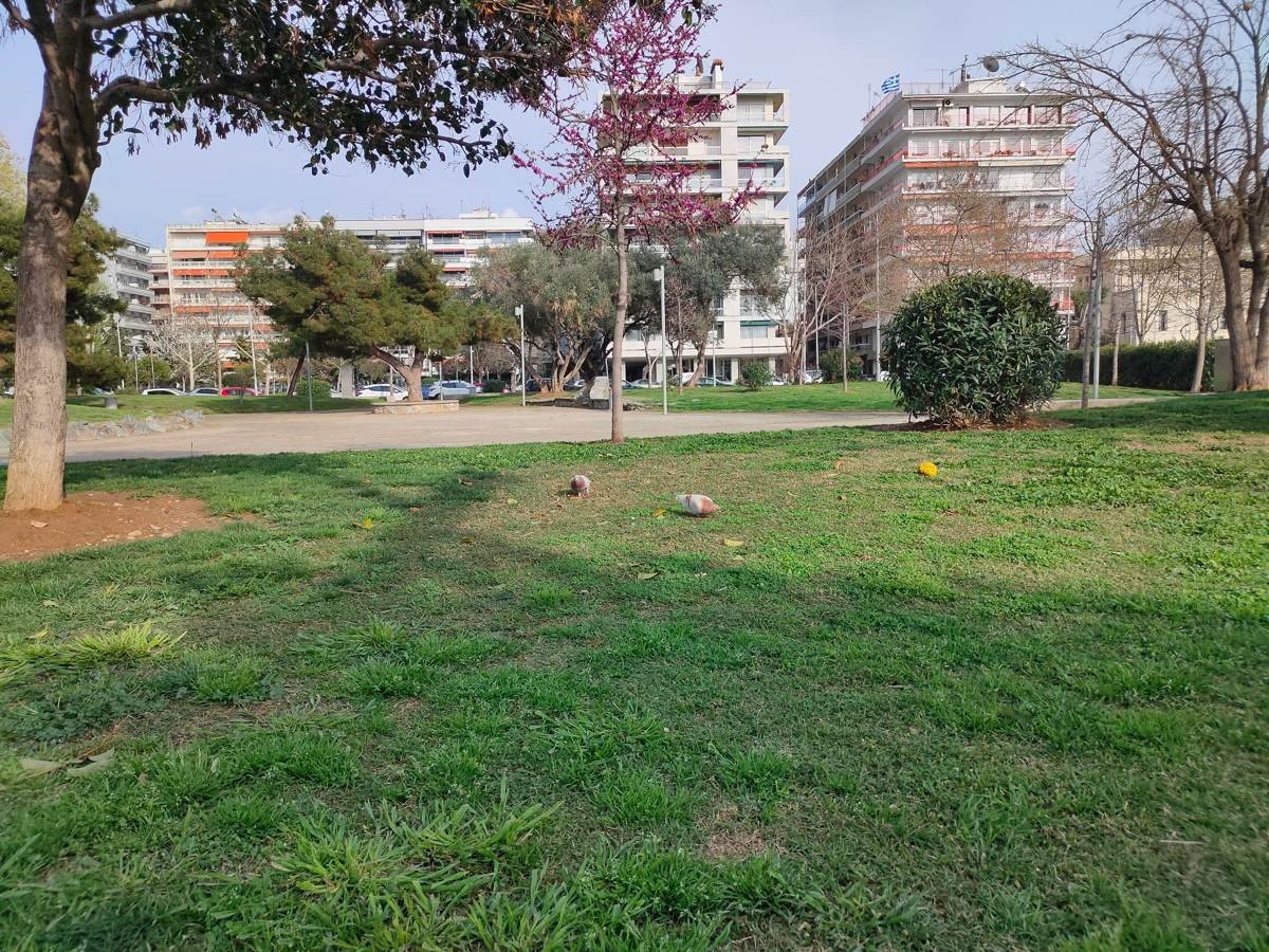 Realme X2 Pro: Μια value-for-money ναυαρχίδα που δεν είναι καθόλου αδιάφορη | 