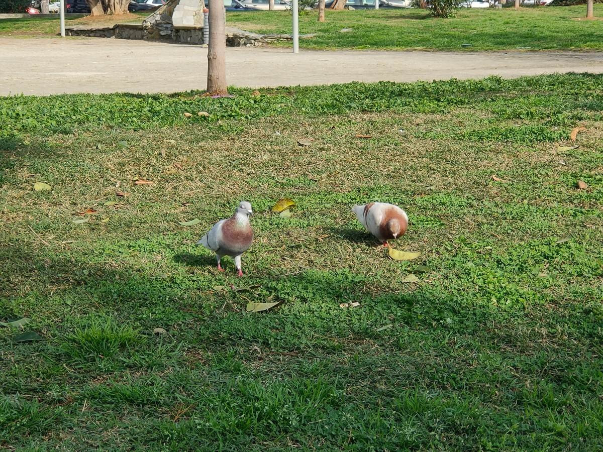 Realme X2 Pro: Μια value-for-money ναυαρχίδα που δεν είναι καθόλου αδιάφορη | 