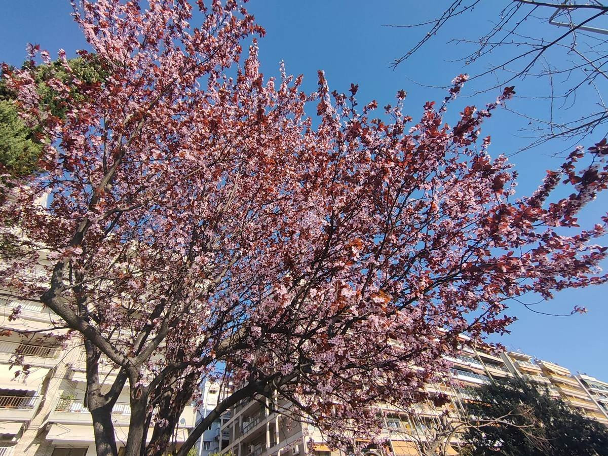 Realme X2 Pro: Μια value-for-money ναυαρχίδα που δεν είναι καθόλου αδιάφορη | 