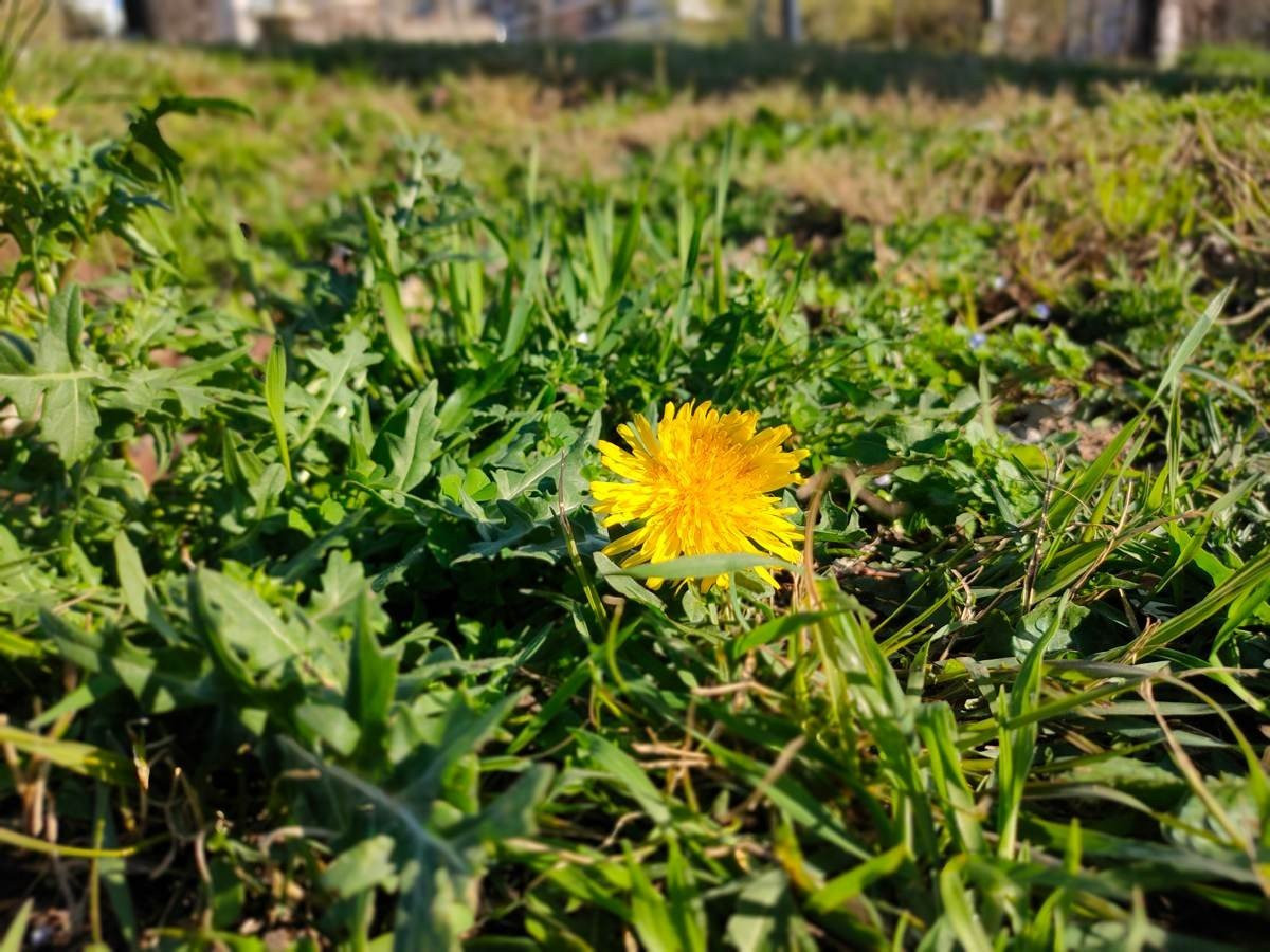 Realme X2 Pro: Μια value-for-money ναυαρχίδα που δεν είναι καθόλου αδιάφορη | 