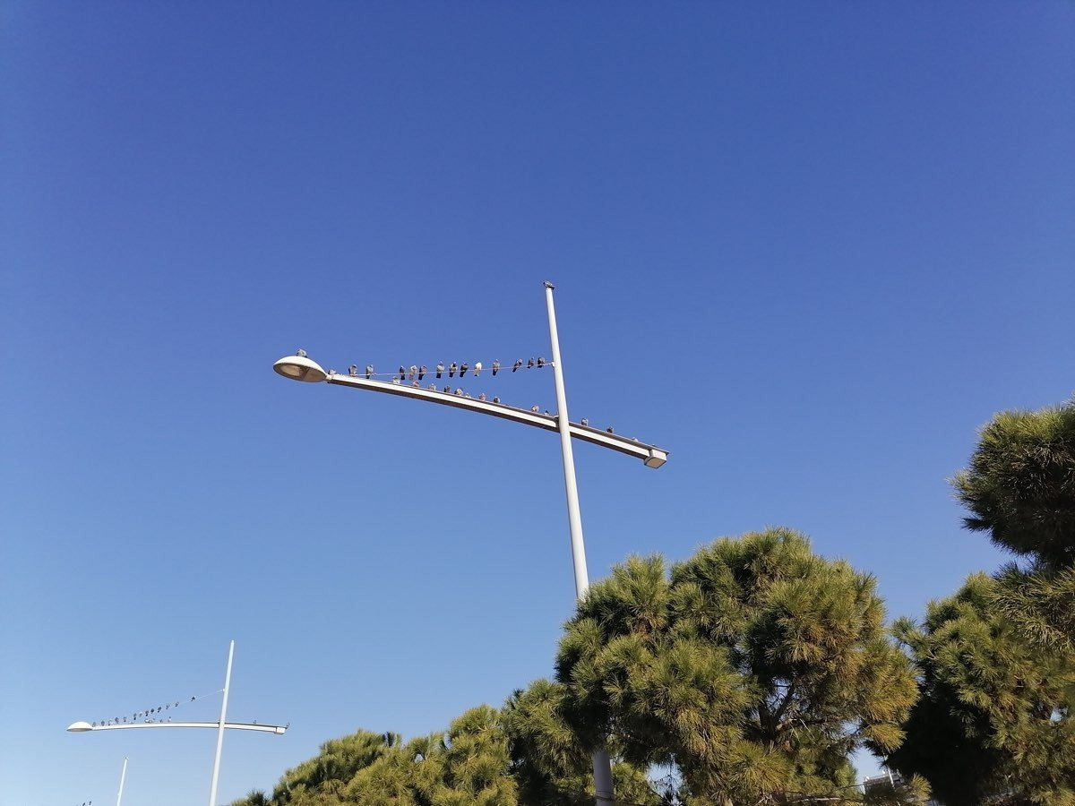 Huawei P Smart Pro: Από τις καλύτερες mid-range προτάσεις αυτή την περίοδο [Review] | 