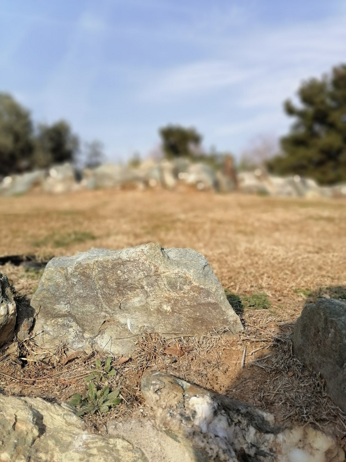 Huawei P Smart Pro: Από τις καλύτερες mid-range προτάσεις αυτή την περίοδο [Review] | 