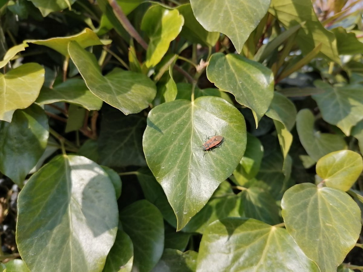 Huawei P Smart Pro: Από τις καλύτερες mid-range προτάσεις αυτή την περίοδο [Review] | 