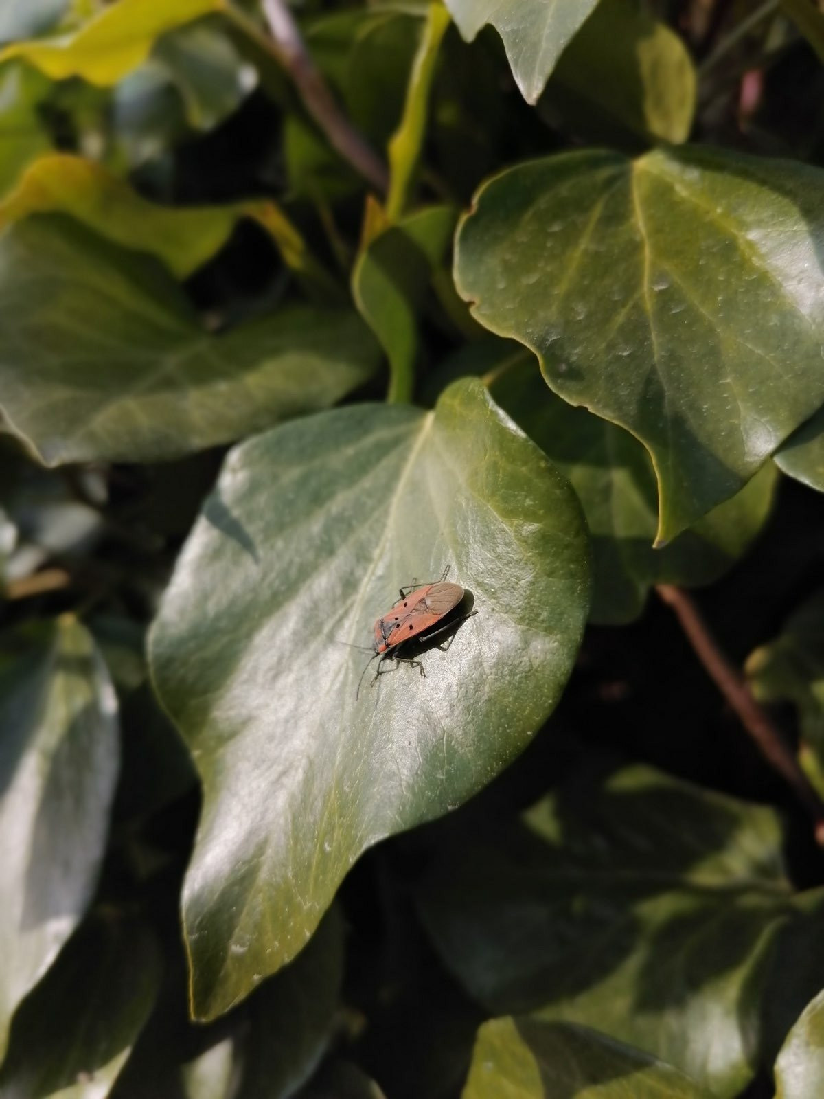 Huawei P Smart Pro: Από τις καλύτερες mid-range προτάσεις αυτή την περίοδο [Review] | 