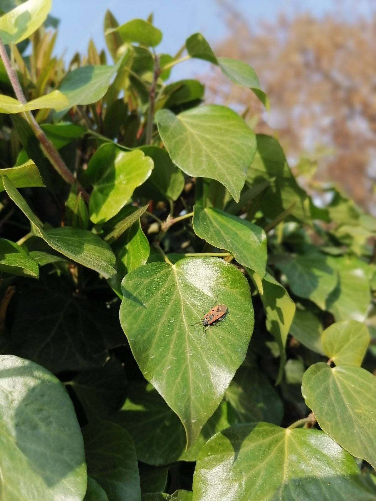 Huawei P Smart Pro: Από τις καλύτερες mid-range προτάσεις αυτή την περίοδο [Review] | 