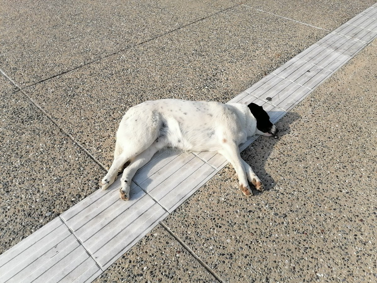 Huawei P Smart Pro: Από τις καλύτερες mid-range προτάσεις αυτή την περίοδο [Review] | 