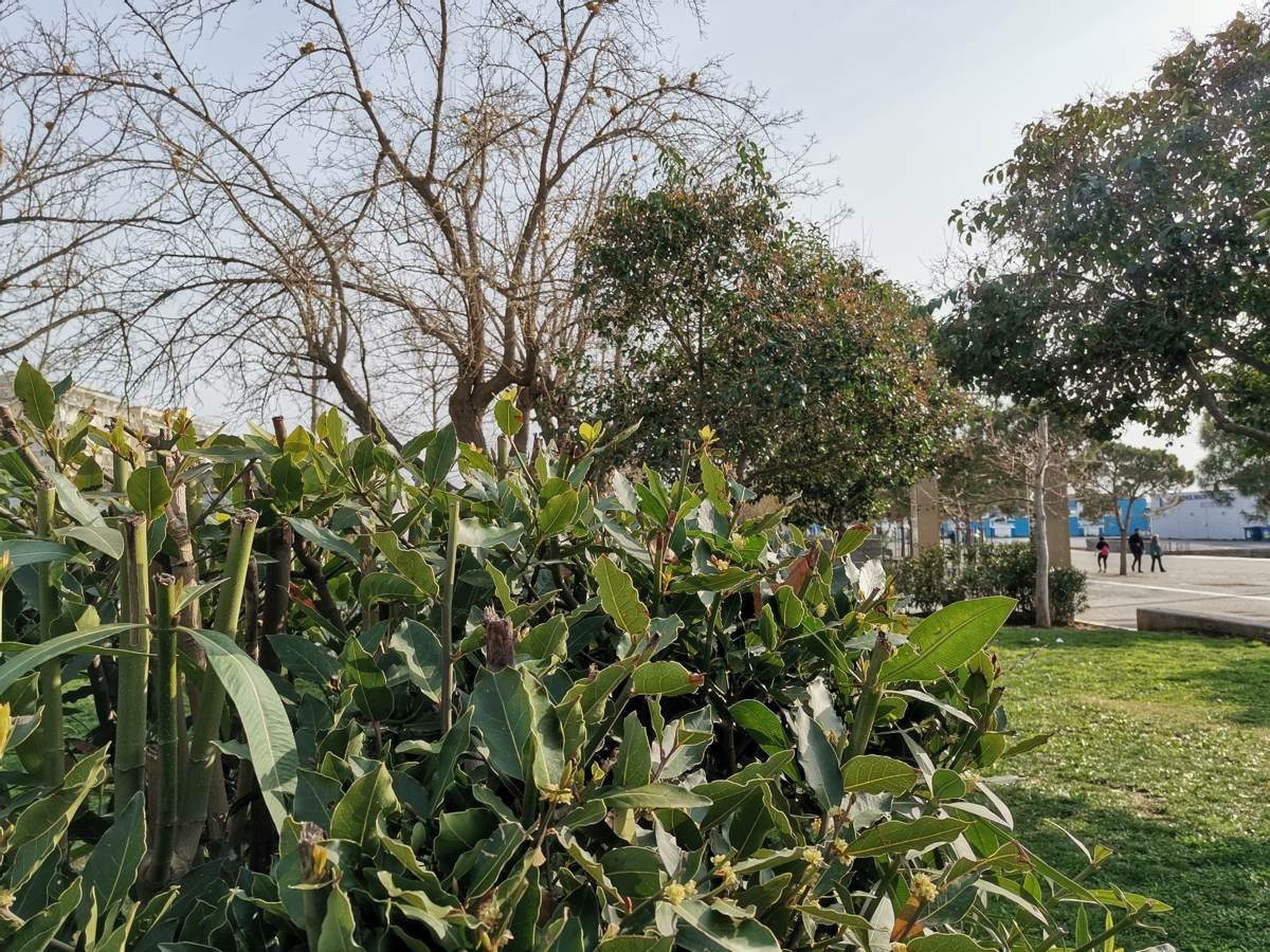 Huawei P40 Lite: Εμφάνιση, ταχύτητα και εντυπωσιακή αυτονομία στη mid-range κατηγορία |  Huawei P40 Lite: Εμφάνιση, ταχύτητα και εντυπωσιακή αυτονομία στη mid-range κατηγορία |