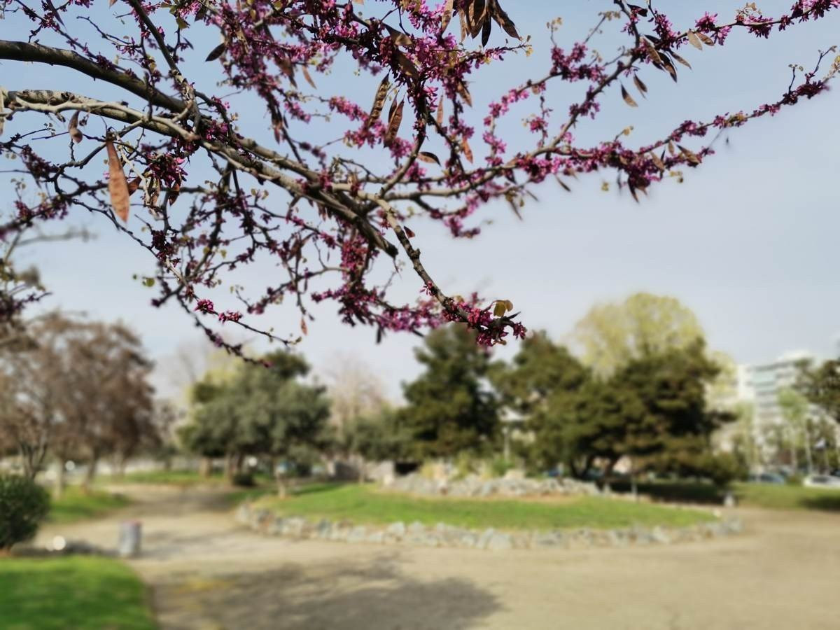 Huawei P40 Lite: Εμφάνιση, ταχύτητα και εντυπωσιακή αυτονομία στη mid-range κατηγορία |  Huawei P40 Lite: Εμφάνιση, ταχύτητα και εντυπωσιακή αυτονομία στη mid-range κατηγορία |