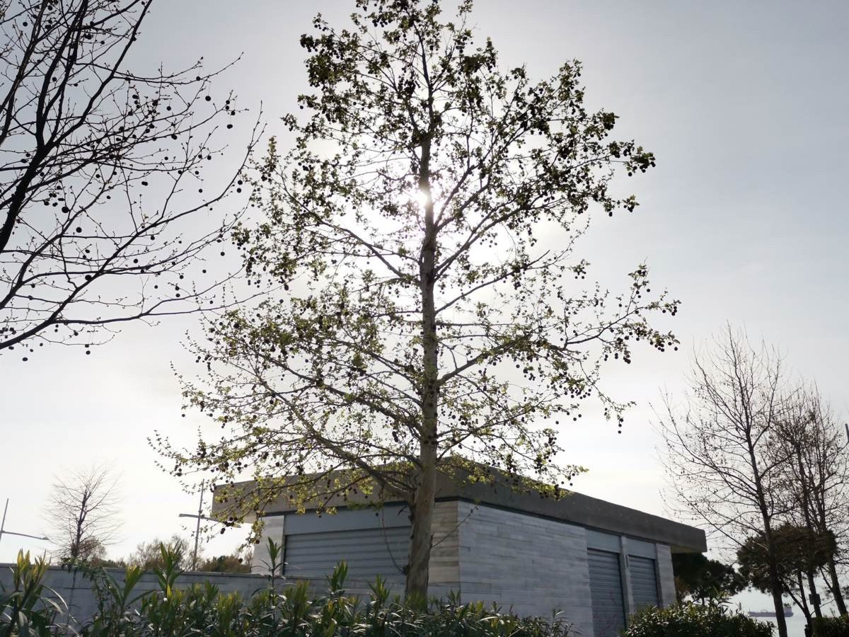 Huawei P40 Lite: Εμφάνιση, ταχύτητα και εντυπωσιακή αυτονομία στη mid-range κατηγορία |  Huawei P40 Lite: Εμφάνιση, ταχύτητα και εντυπωσιακή αυτονομία στη mid-range κατηγορία |