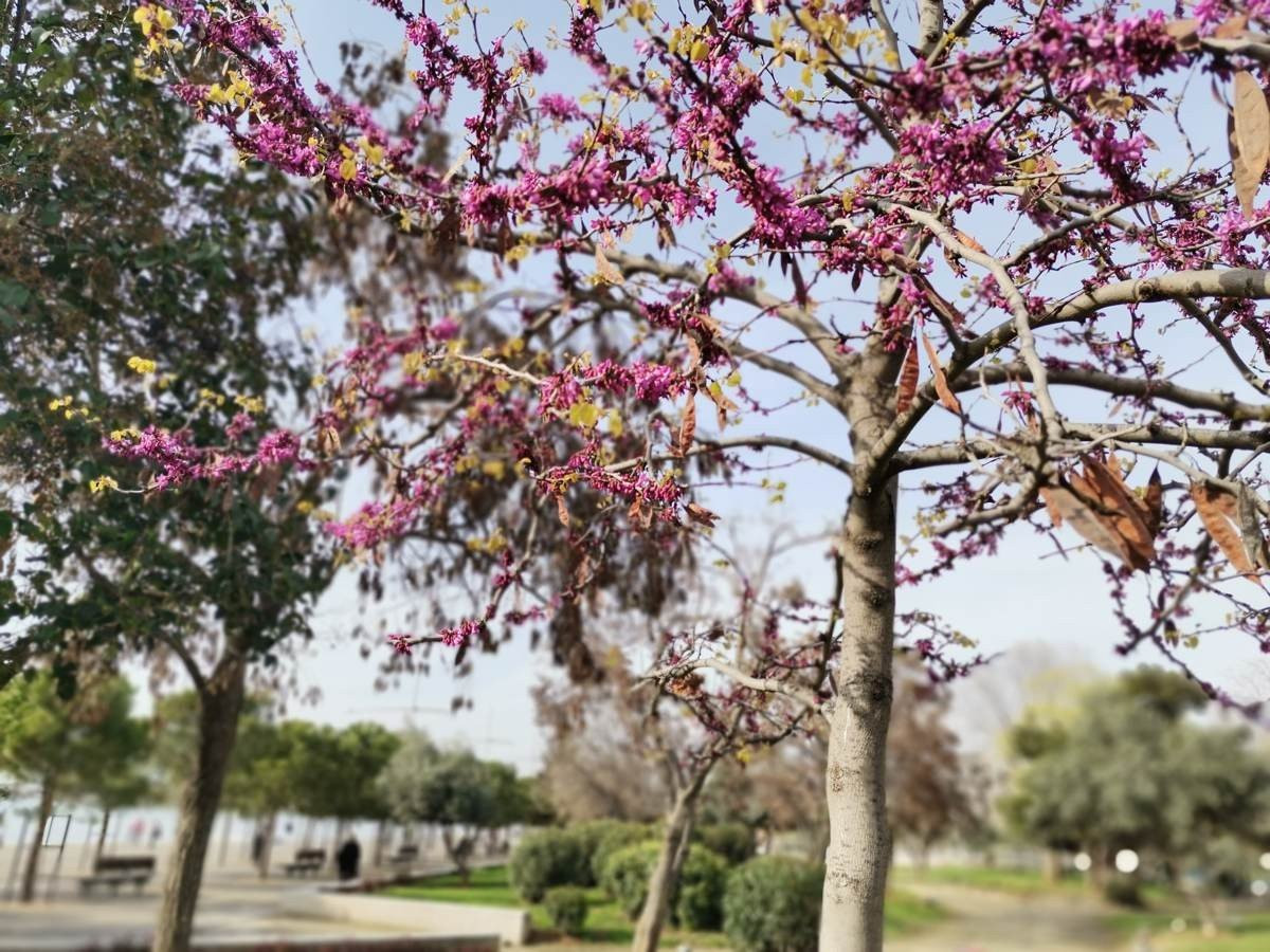 Huawei P40 Lite: Εμφάνιση, ταχύτητα και εντυπωσιακή αυτονομία στη mid-range κατηγορία |  Huawei P40 Lite: Εμφάνιση, ταχύτητα και εντυπωσιακή αυτονομία στη mid-range κατηγορία |