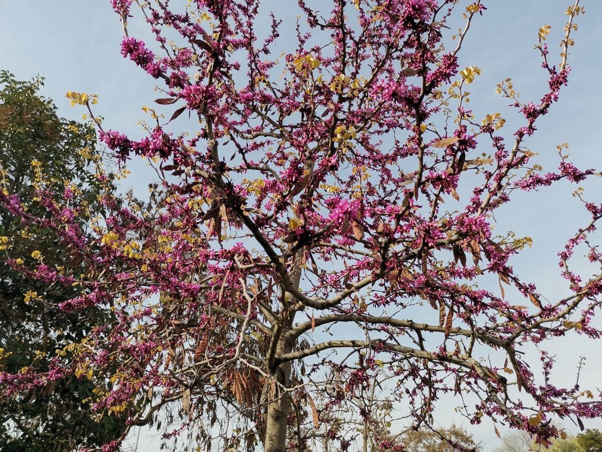 Huawei P40 Lite: Εμφάνιση, ταχύτητα και εντυπωσιακή αυτονομία στη mid-range κατηγορία |  Huawei P40 Lite: Εμφάνιση, ταχύτητα και εντυπωσιακή αυτονομία στη mid-range κατηγορία |