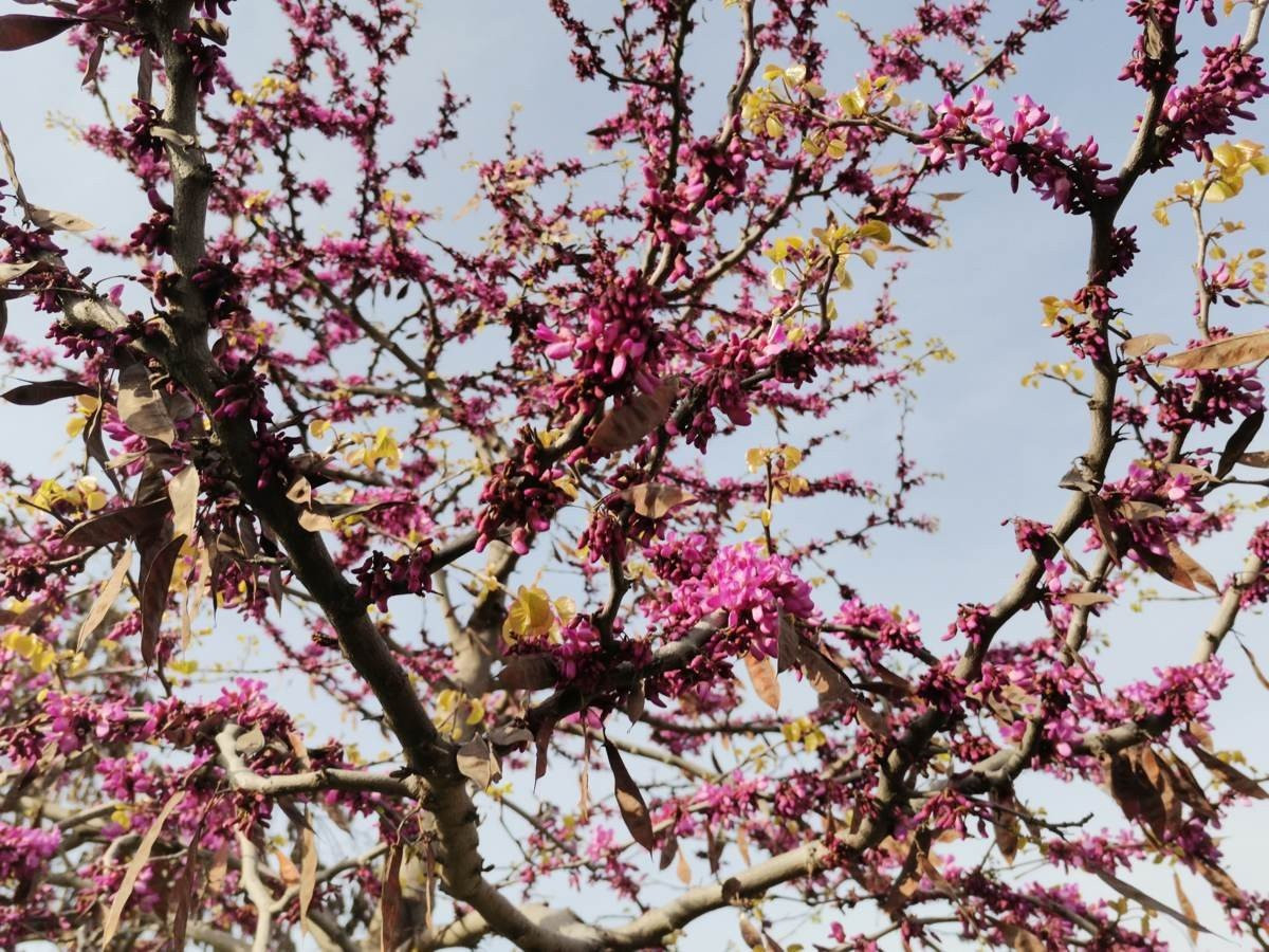 Huawei P40 Lite: Εμφάνιση, ταχύτητα και εντυπωσιακή αυτονομία στη mid-range κατηγορία |  Huawei P40 Lite: Εμφάνιση, ταχύτητα και εντυπωσιακή αυτονομία στη mid-range κατηγορία |