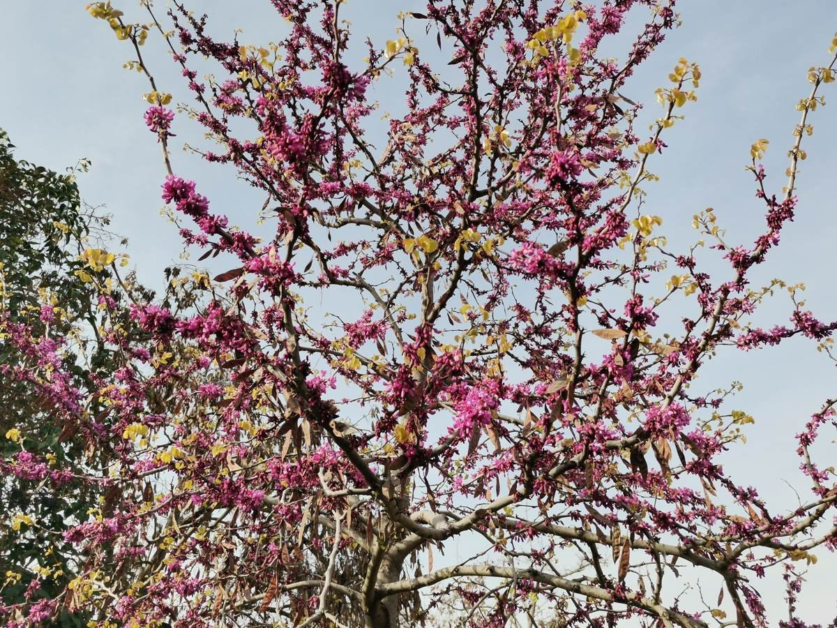 Huawei P40 Lite: Εμφάνιση, ταχύτητα και εντυπωσιακή αυτονομία στη mid-range κατηγορία |  Huawei P40 Lite: Εμφάνιση, ταχύτητα και εντυπωσιακή αυτονομία στη mid-range κατηγορία |