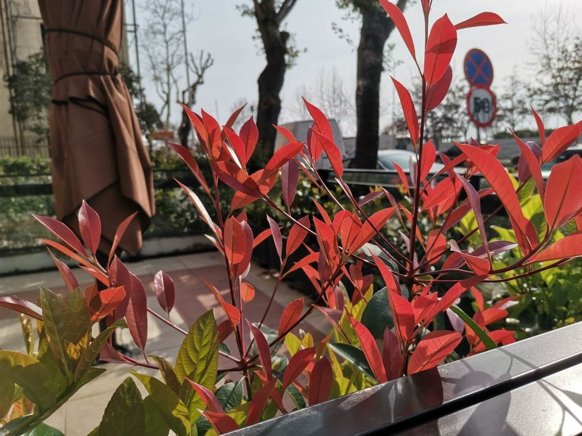 Huawei P40 Lite: Εμφάνιση, ταχύτητα και εντυπωσιακή αυτονομία στη mid-range κατηγορία |  Huawei P40 Lite: Εμφάνιση, ταχύτητα και εντυπωσιακή αυτονομία στη mid-range κατηγορία |