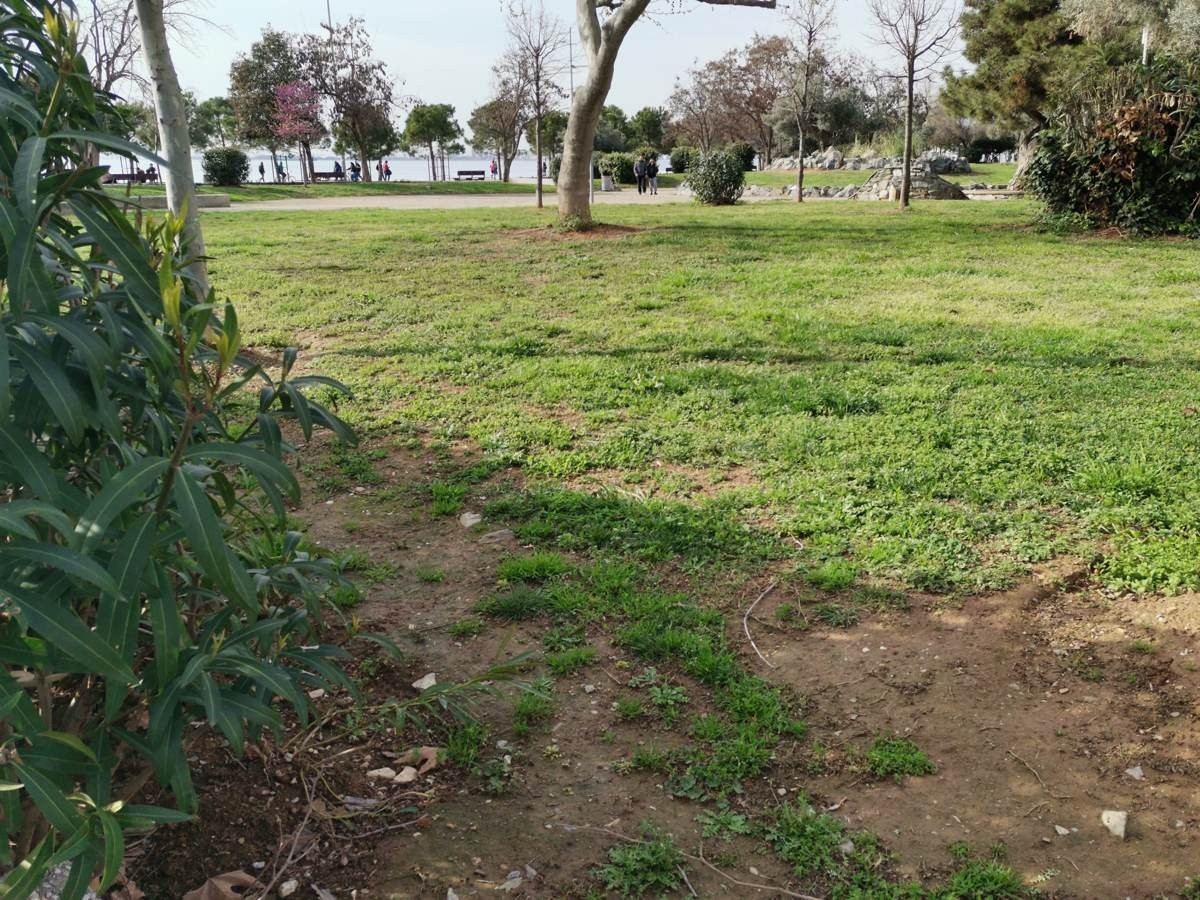 Huawei P40 Lite: Εμφάνιση, ταχύτητα και εντυπωσιακή αυτονομία στη mid-range κατηγορία |  Huawei P40 Lite: Εμφάνιση, ταχύτητα και εντυπωσιακή αυτονομία στη mid-range κατηγορία |