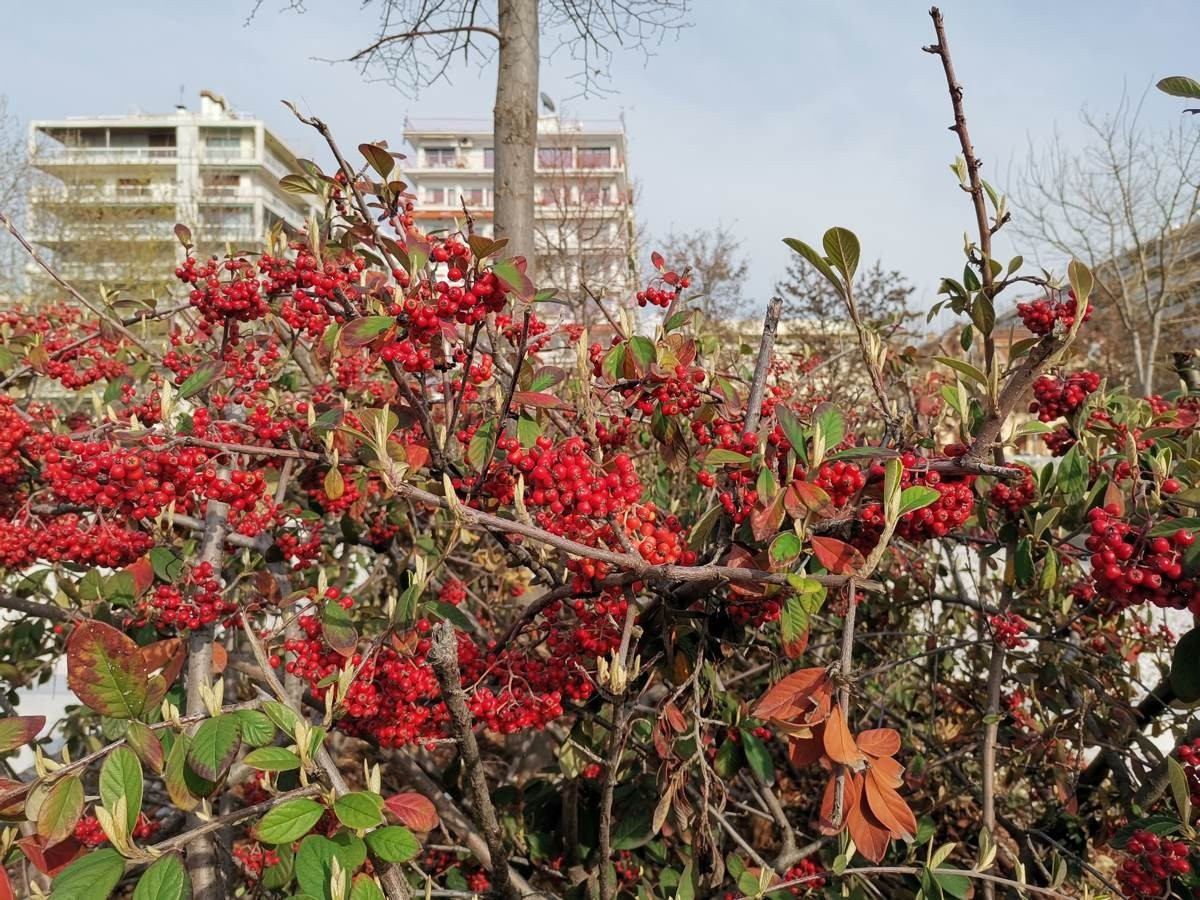 Huawei P40 Lite: Εμφάνιση, ταχύτητα και εντυπωσιακή αυτονομία στη mid-range κατηγορία |  Huawei P40 Lite: Εμφάνιση, ταχύτητα και εντυπωσιακή αυτονομία στη mid-range κατηγορία |