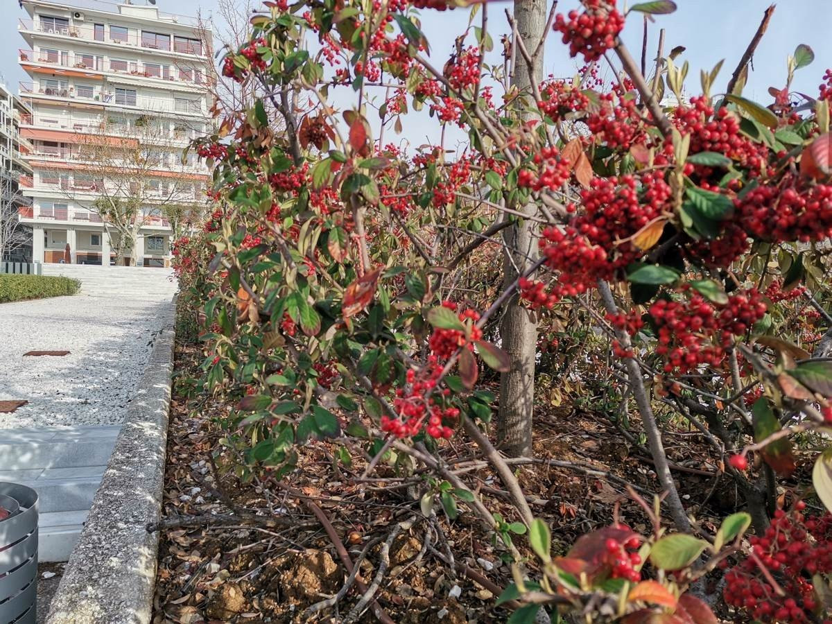 Huawei P40 Lite: Εμφάνιση, ταχύτητα και εντυπωσιακή αυτονομία στη mid-range κατηγορία |  Huawei P40 Lite: Εμφάνιση, ταχύτητα και εντυπωσιακή αυτονομία στη mid-range κατηγορία |