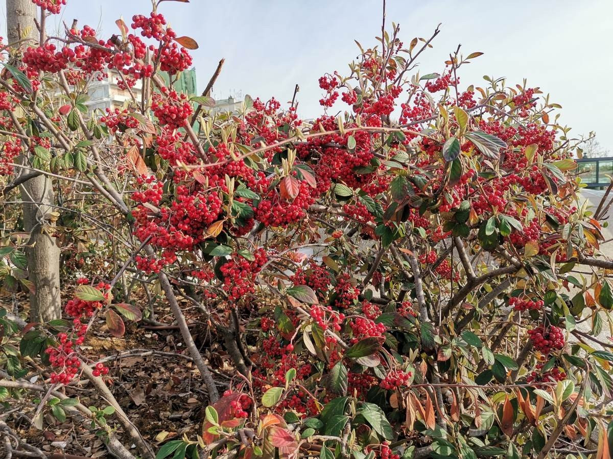 Huawei P40 Lite: Εμφάνιση, ταχύτητα και εντυπωσιακή αυτονομία στη mid-range κατηγορία |  Huawei P40 Lite: Εμφάνιση, ταχύτητα και εντυπωσιακή αυτονομία στη mid-range κατηγορία |