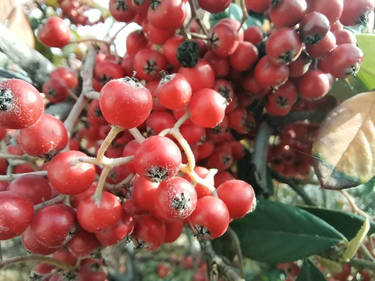 Huawei P40 Lite: Εμφάνιση, ταχύτητα και εντυπωσιακή αυτονομία στη mid-range κατηγορία |  Huawei P40 Lite: Εμφάνιση, ταχύτητα και εντυπωσιακή αυτονομία στη mid-range κατηγορία |