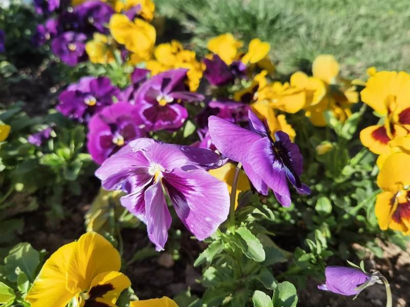 Huawei P40 Pro: Οι «τρικλοποδιές» δεν του στερούν τον τίτλο του κορυφαίου | 