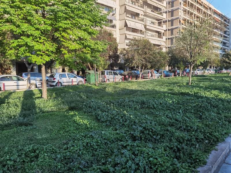 Huawei P40 Pro: Οι «τρικλοποδιές» δεν του στερούν τον τίτλο του κορυφαίου | 