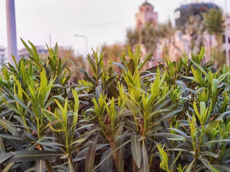 Huawei P40 Pro: Οι «τρικλοποδιές» δεν του στερούν τον τίτλο του κορυφαίου | 