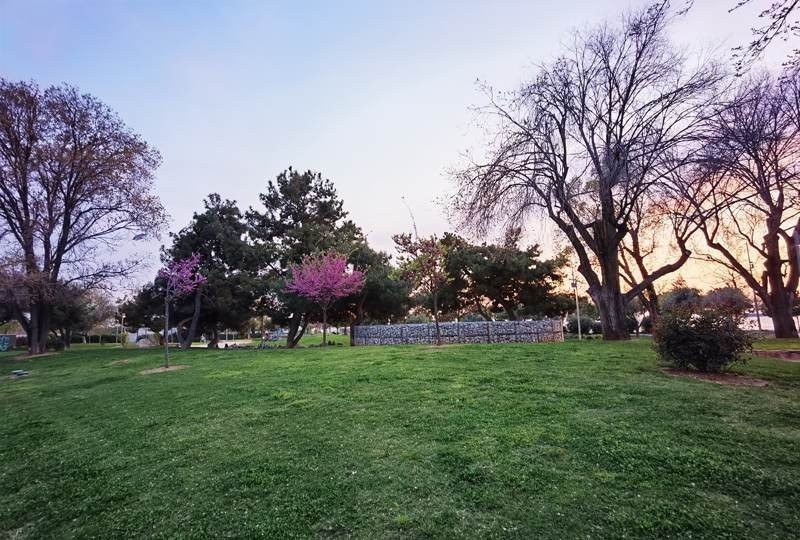 Huawei P40 Pro: Οι «τρικλοποδιές» δεν του στερούν τον τίτλο του κορυφαίου | 