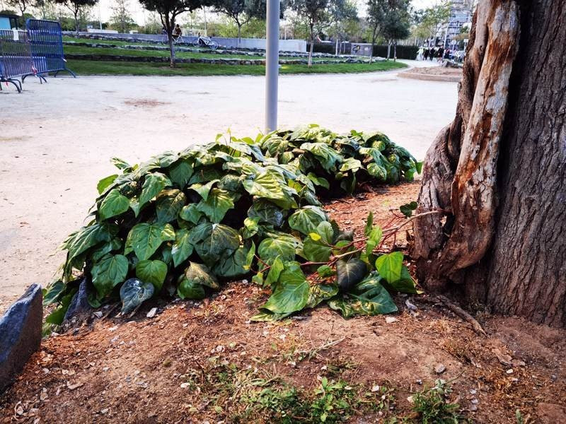 Huawei P40 Pro: Οι «τρικλοποδιές» δεν του στερούν τον τίτλο του κορυφαίου | 