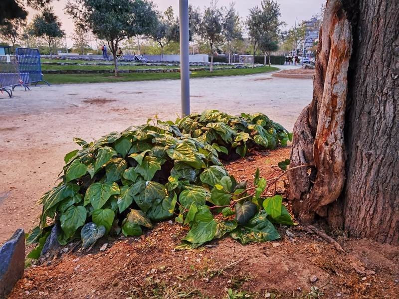 Huawei P40 Pro: Οι «τρικλοποδιές» δεν του στερούν τον τίτλο του κορυφαίου | 