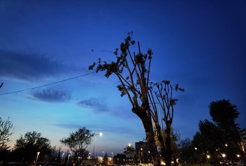 Huawei P40 Pro: Οι «τρικλοποδιές» δεν του στερούν τον τίτλο του κορυφαίου | 