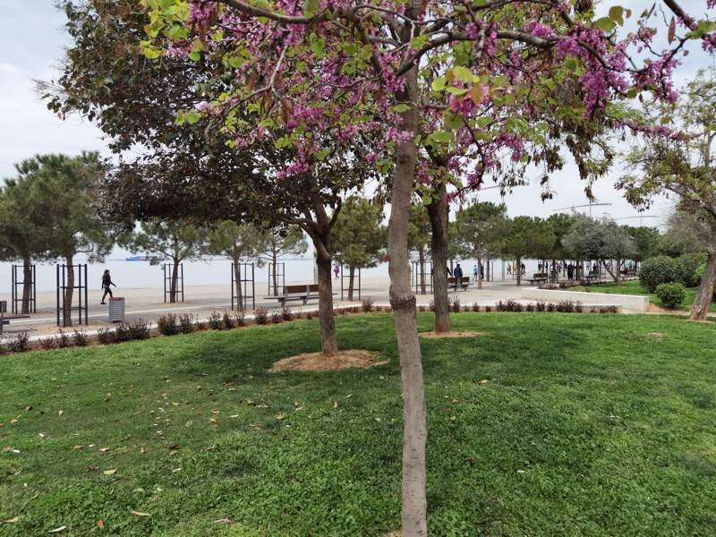 Huawei P40 Pro: Οι «τρικλοποδιές» δεν του στερούν τον τίτλο του κορυφαίου | 