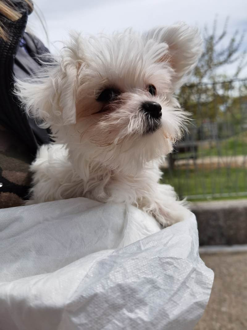 Huawei P40 Pro: Οι «τρικλοποδιές» δεν του στερούν τον τίτλο του κορυφαίου | 