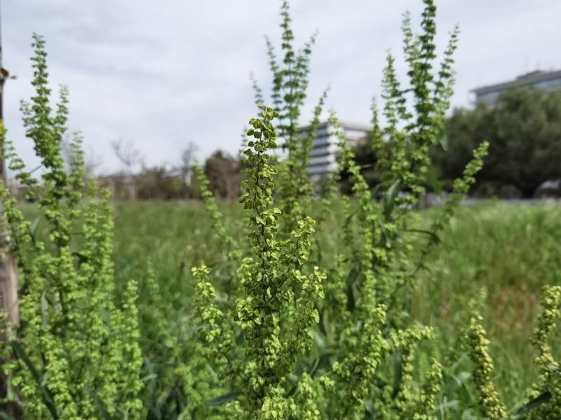 Huawei P40 Pro: Οι «τρικλοποδιές» δεν του στερούν τον τίτλο του κορυφαίου | 