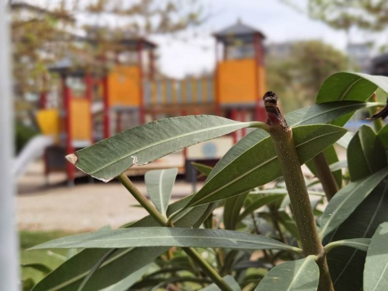 Huawei P40 Pro: Οι «τρικλοποδιές» δεν του στερούν τον τίτλο του κορυφαίου | 